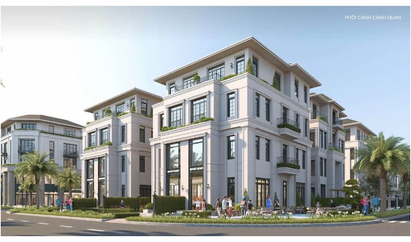 Thiết kế biệt thự song lập Alluvia City